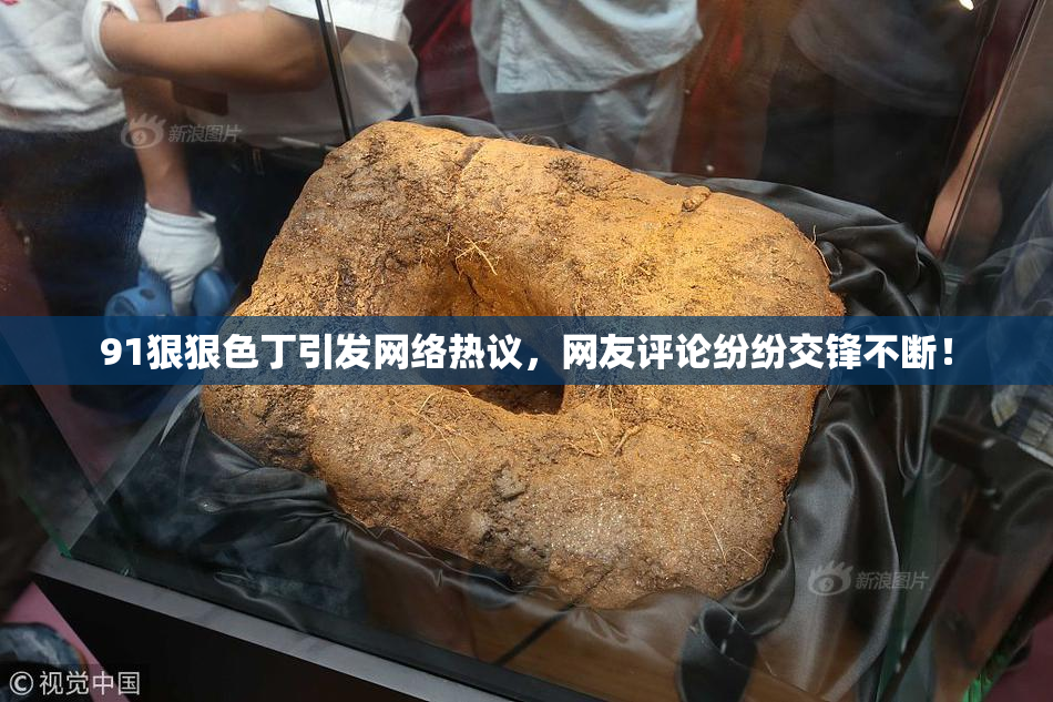 91狠狠色丁引发网络热议，网友评论纷纷交锋不断！