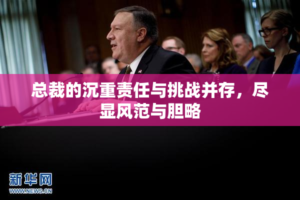 总裁的沉重责任与挑战并存，尽显风范与胆略