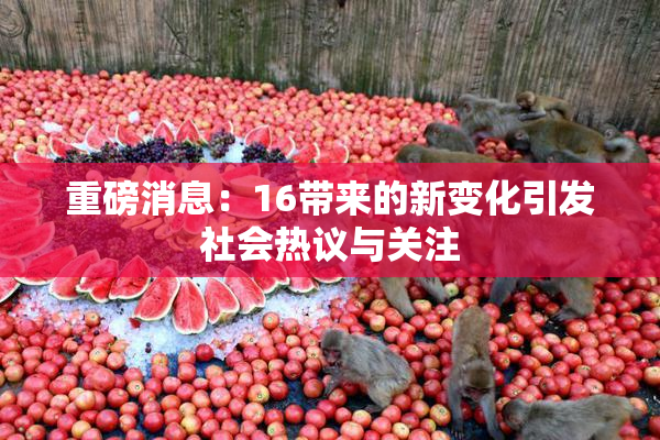 重磅消息：16带来的新变化引发社会热议与关注