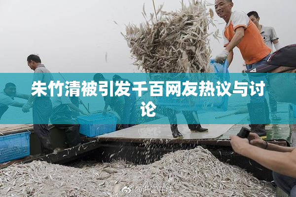 朱竹清被引发千百网友热议与讨论