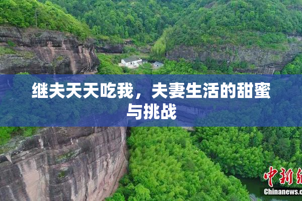 继夫天天吃我，夫妻生活的甜蜜与挑战