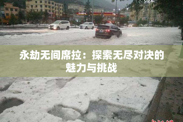 永劫无间席拉：探索无尽对决的魅力与挑战