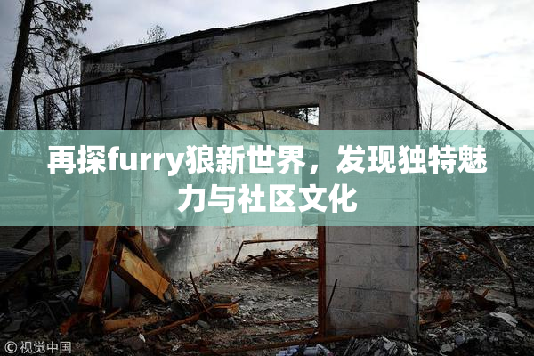 再探furry狼新世界，发现独特魅力与社区文化