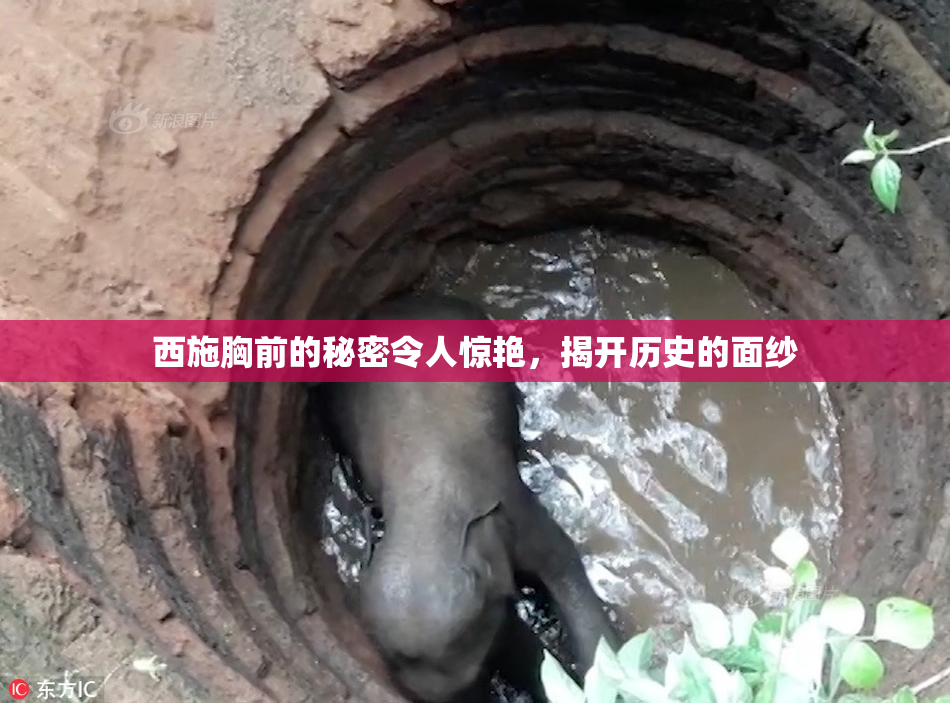 西施胸前的秘密令人惊艳，揭开历史的面纱