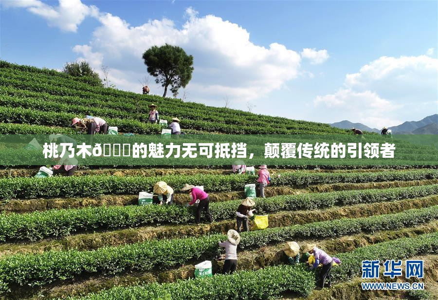 桃乃木💋的魅力无可抵挡，颠覆传统的引领者