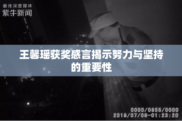 王馨瑶获奖感言揭示努力与坚持的重要性