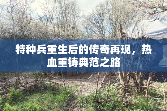特种兵重生后的传奇再现，热血重铸典范之路