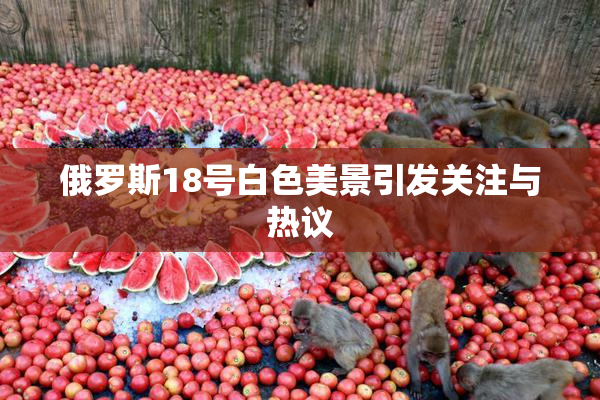 俄罗斯18号白色美景引发关注与热议