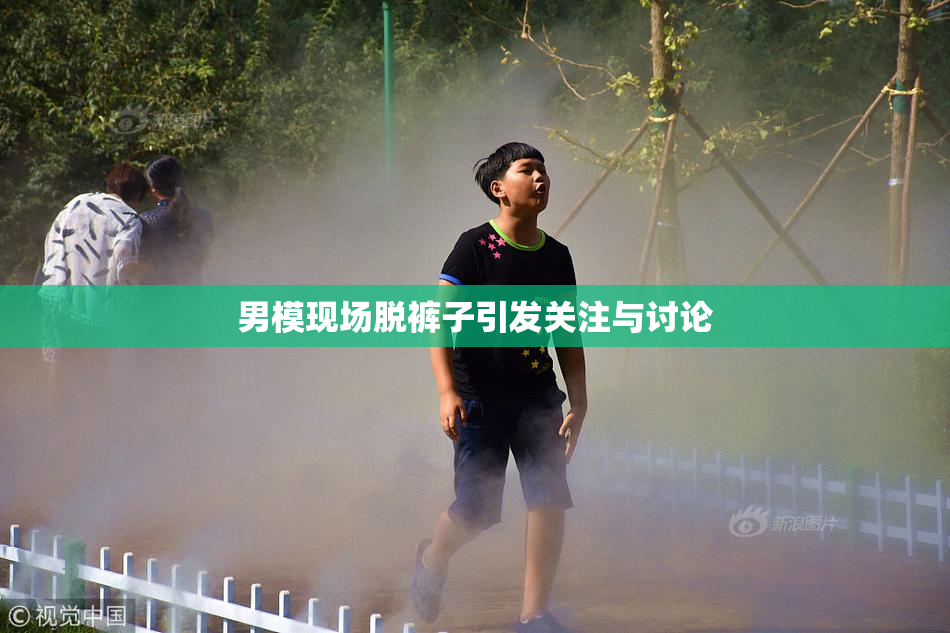 男模现场脱裤子引发关注与讨论