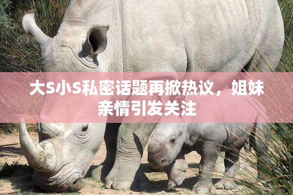 大S小S私密话题再掀热议，姐妹亲情引发关注