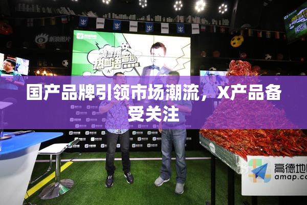 国产品牌引领市场潮流，X产品备受关注