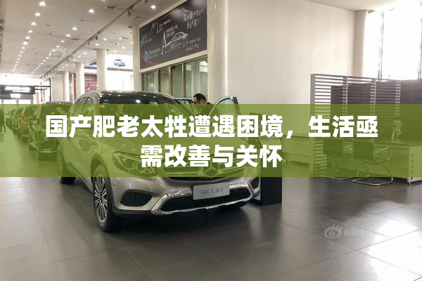国产肥老太牲遭遇困境，生活亟需改善与关怀