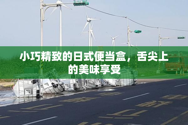 小巧精致的日式便当盒，舌尖上的美味享受