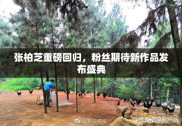 张柏芝重磅回归，粉丝期待新作品发布盛典