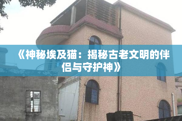 《神秘埃及猫：揭秘古老文明的伴侣与守护神》
