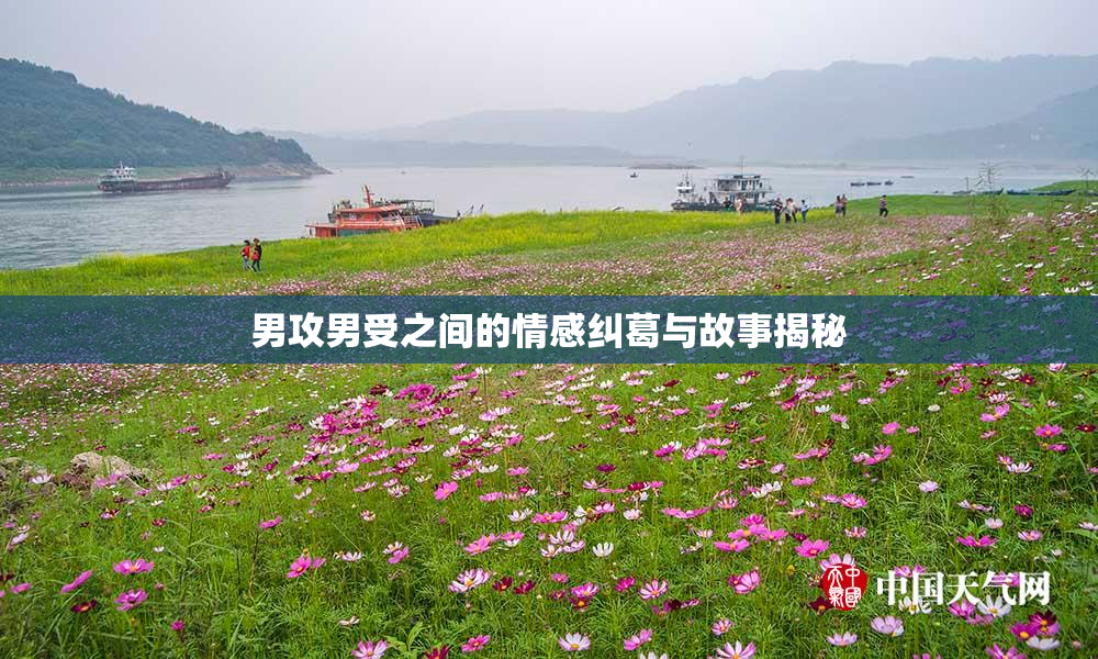 男攻男受之间的情感纠葛与故事揭秘