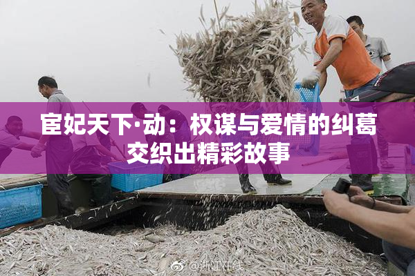 宦妃天下·动：权谋与爱情的纠葛交织出精彩故事