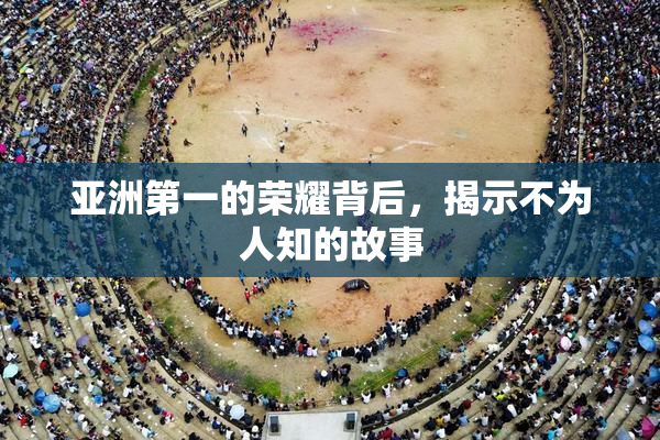 亚洲第一的荣耀背后，揭示不为人知的故事