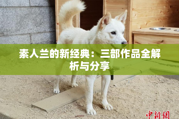 素人兰的新经典：三部作品全解析与分享