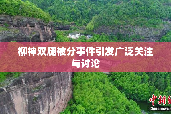 柳神双腿被分事件引发广泛关注与讨论