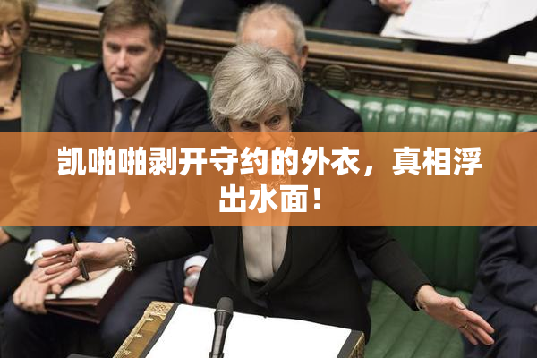 凯啪啪剥开守约的外衣，真相浮出水面！