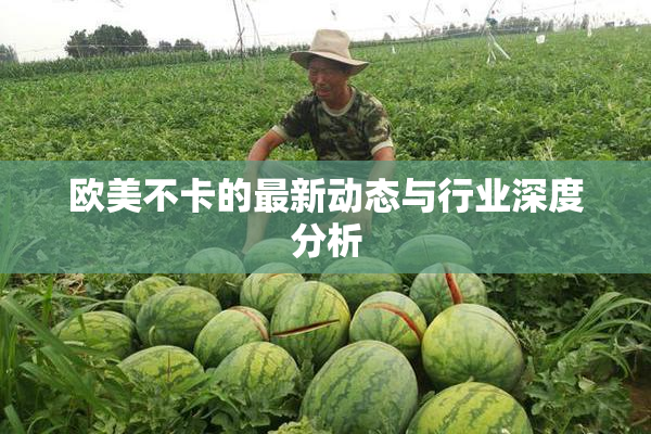 欧美不卡的最新动态与行业深度分析