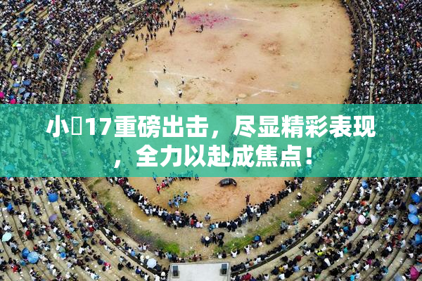 小泬17重磅出击，尽显精彩表现，全力以赴成焦点！