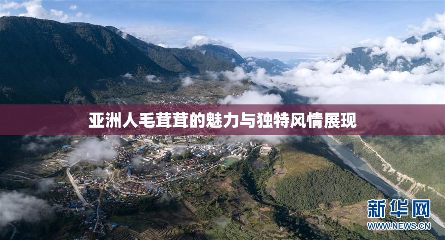 亚洲人毛茸茸的魅力与独特风情展现