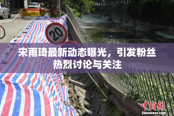 宋雨琦最新动态曝光，引发粉丝热烈讨论与关注