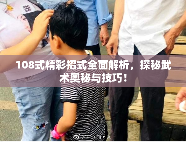 108式精彩招式全面解析，探秘武术奥秘与技巧！