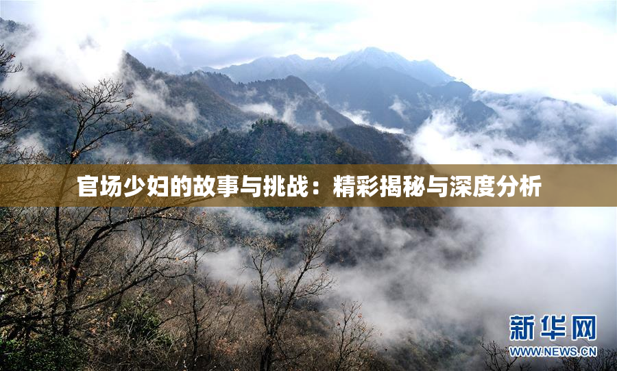 官场少妇的故事与挑战：精彩揭秘与深度分析