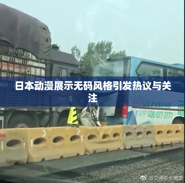 日本动漫展示无码风格引发热议与关注