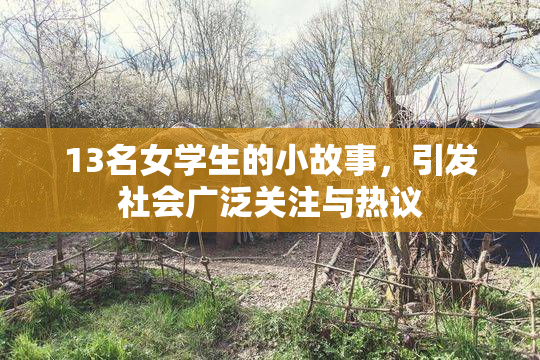 13名女学生的小故事，引发社会广泛关注与热议