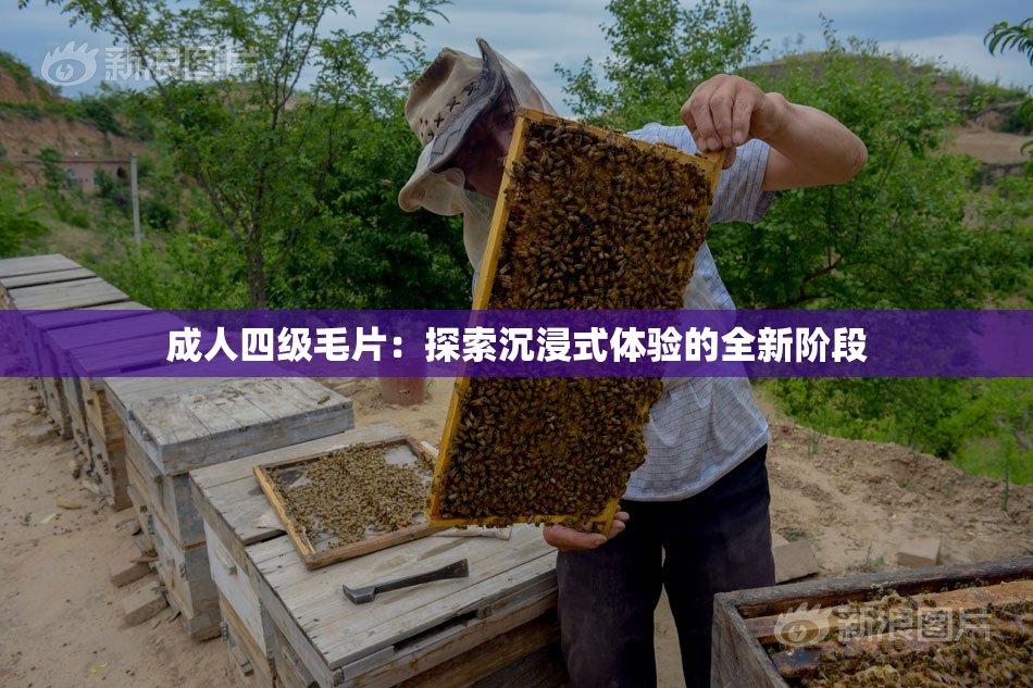 成人四级毛片：探索沉浸式体验的全新阶段