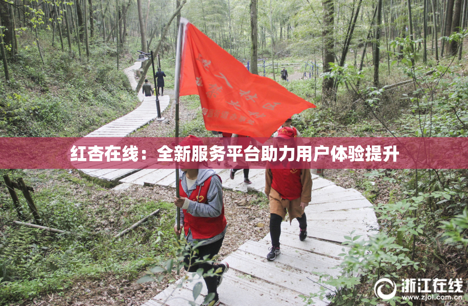 红杏在线：全新服务平台助力用户体验提升