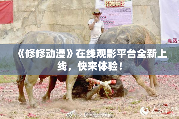 《修修动漫》在线观影平台全新上线，快来体验！