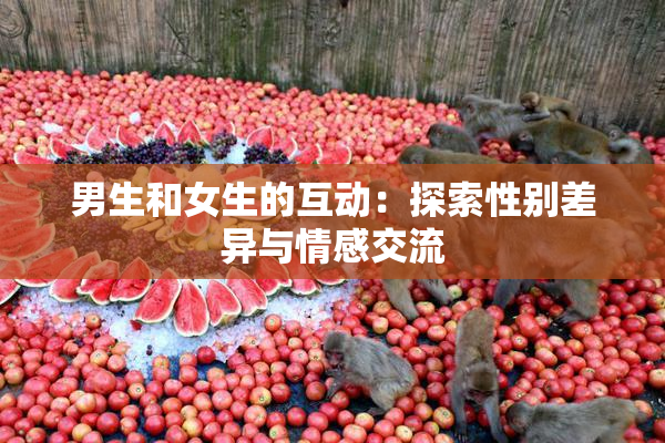 男生和女生的互动：探索性别差异与情感交流