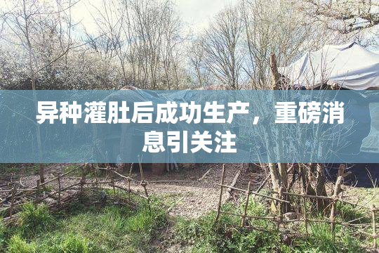 异种灌肚后成功生产，重磅消息引关注
