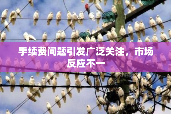 手续费问题引发广泛关注，市场反应不一