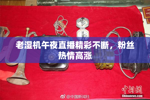 老湿机午夜直播精彩不断，粉丝热情高涨