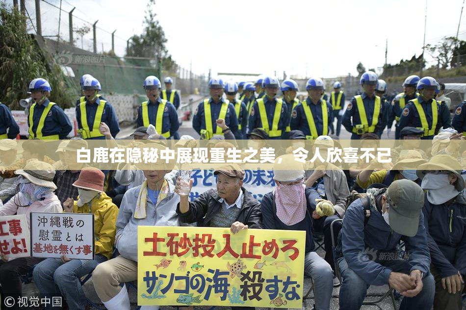 白鹿在隐秘中展现重生之美，令人欣喜不已