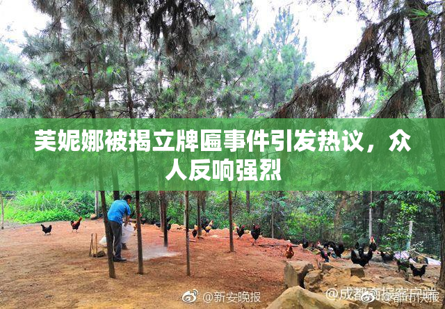 芙妮娜被揭立牌匾事件引发热议，众人反响强烈
