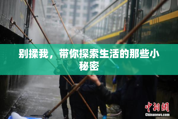 别揉我，带你探索生活的那些小秘密