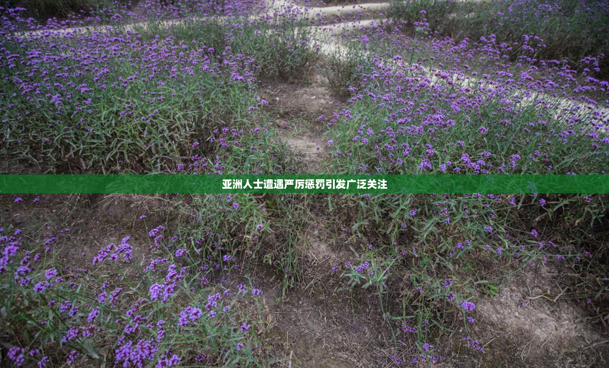 亚洲人士遭遇严厉惩罚引发广泛关注