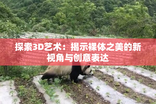探索3D艺术：揭示裸体之美的新视角与创意表达