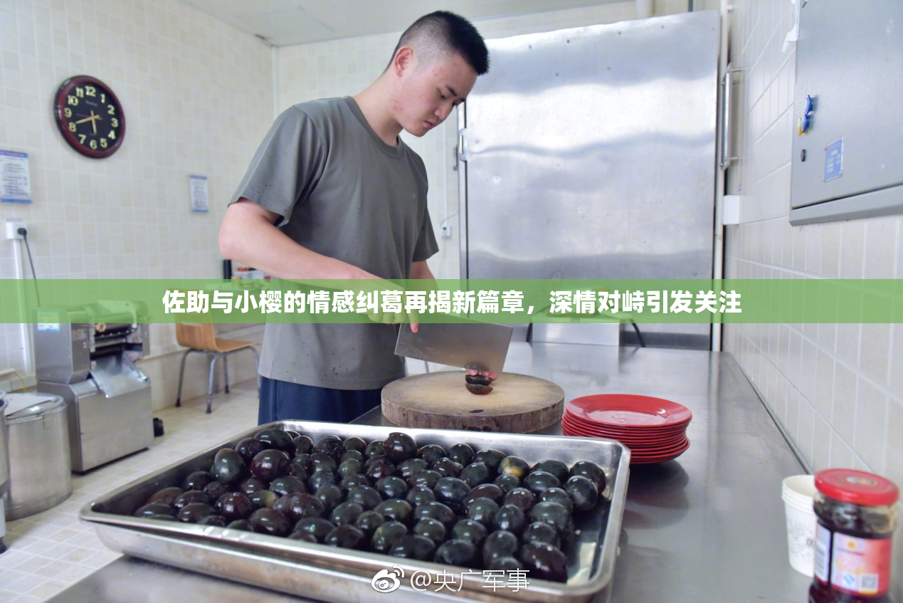佐助与小樱的情感纠葛再揭新篇章，深情对峙引发关注