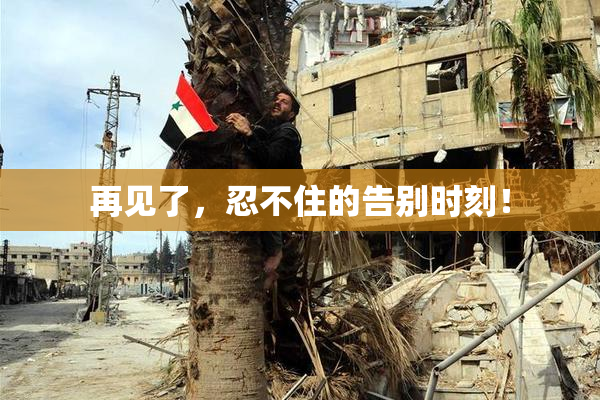 再见了，忍不住的告别时刻！