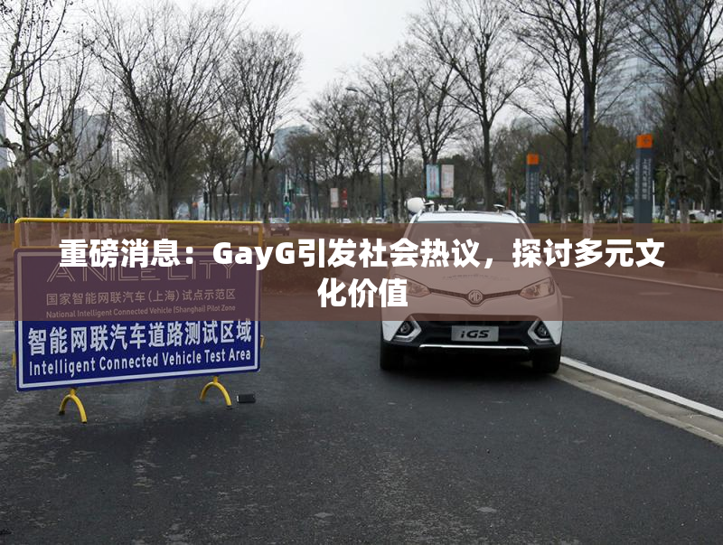 重磅消息：GayG引发社会热议，探讨多元文化价值