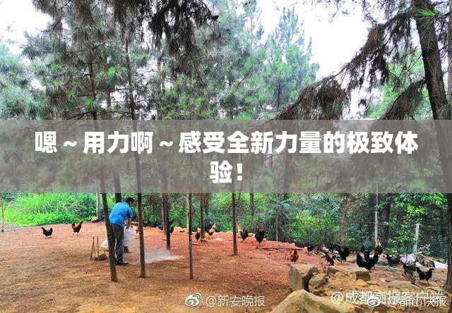 嗯～用力啊～感受全新力量的极致体验！