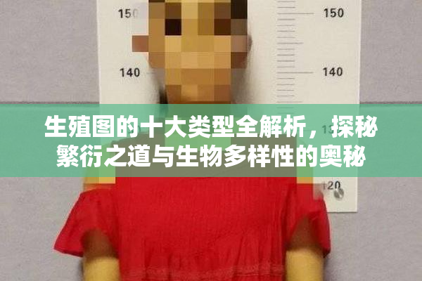 生殖图的十大类型全解析，探秘繁衍之道与生物多样性的奥秘